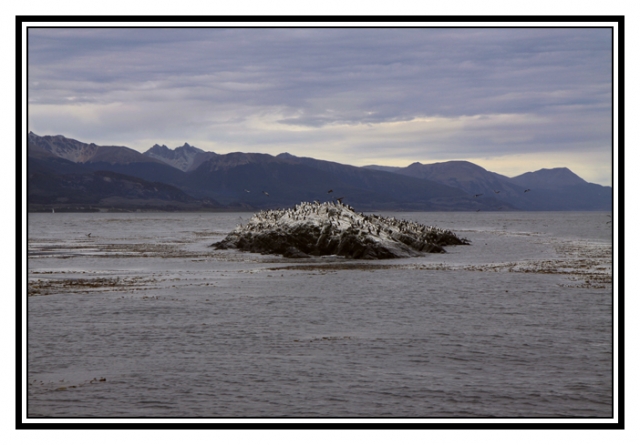 IMG_3816 site.jpg